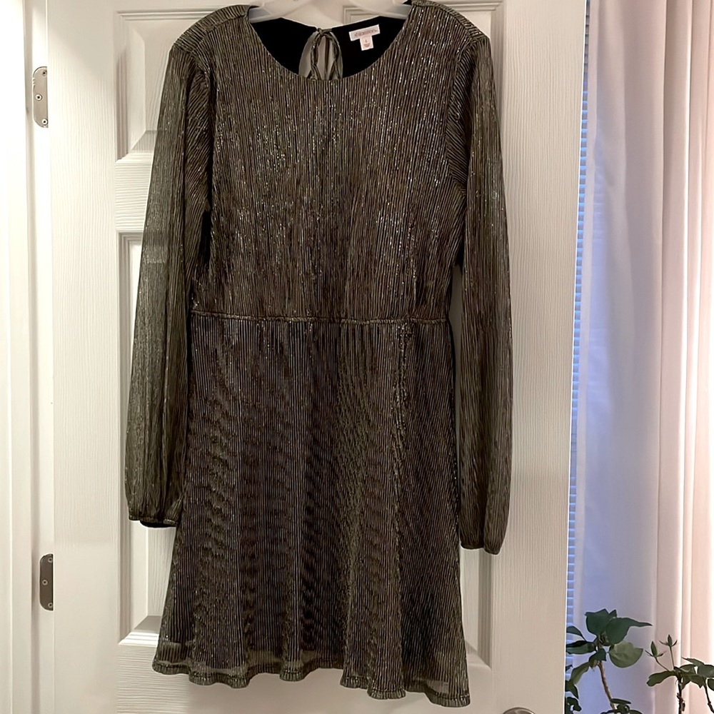 Metallic, long-sleeved, knee length dress. Size L. Xhilaration